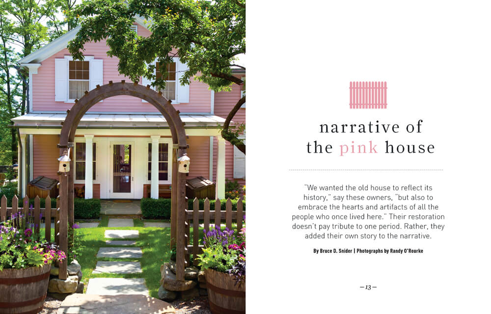 The Narrative of the Pink House by Megan Hillman