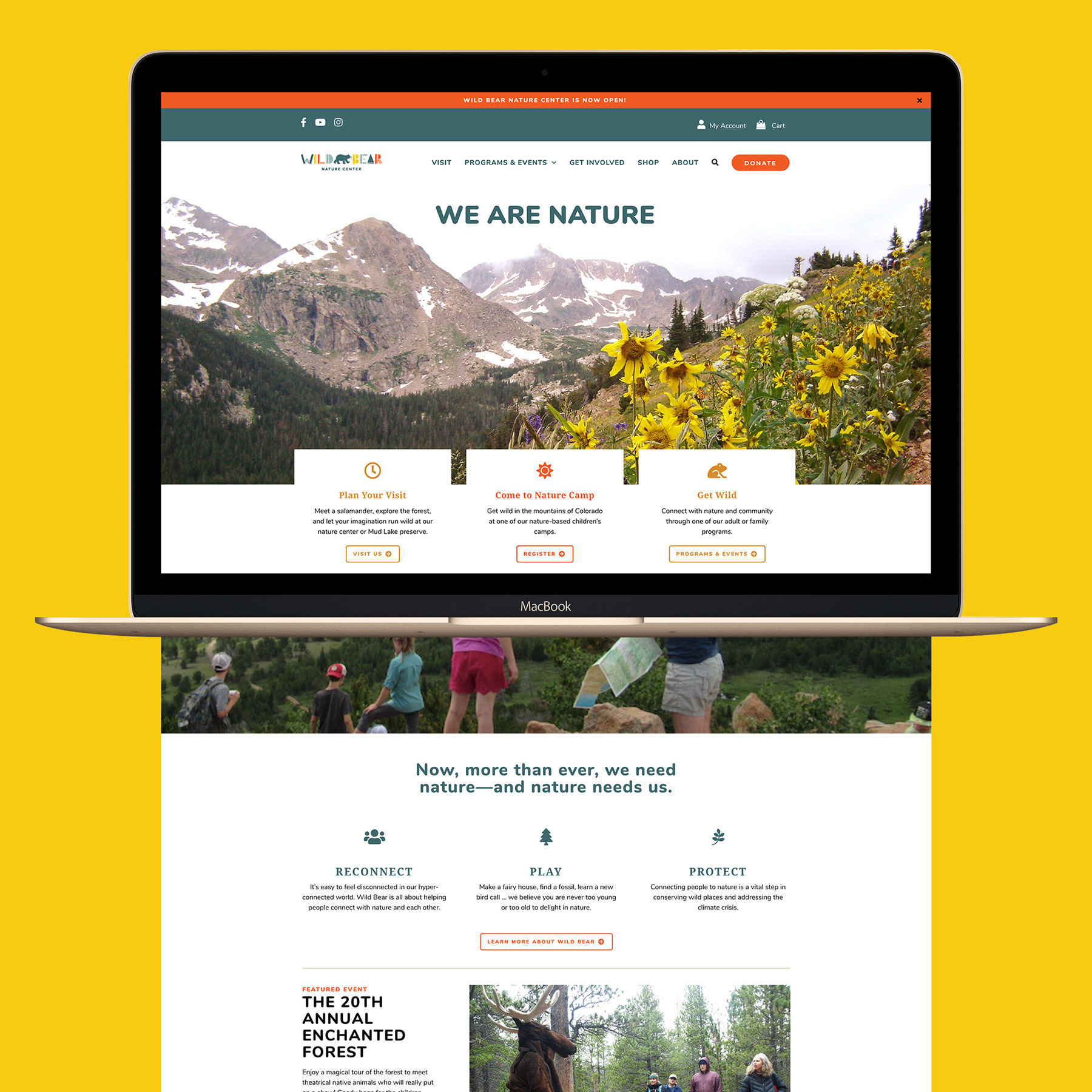 Wild Bear Website  by Megan Hillman Donovan