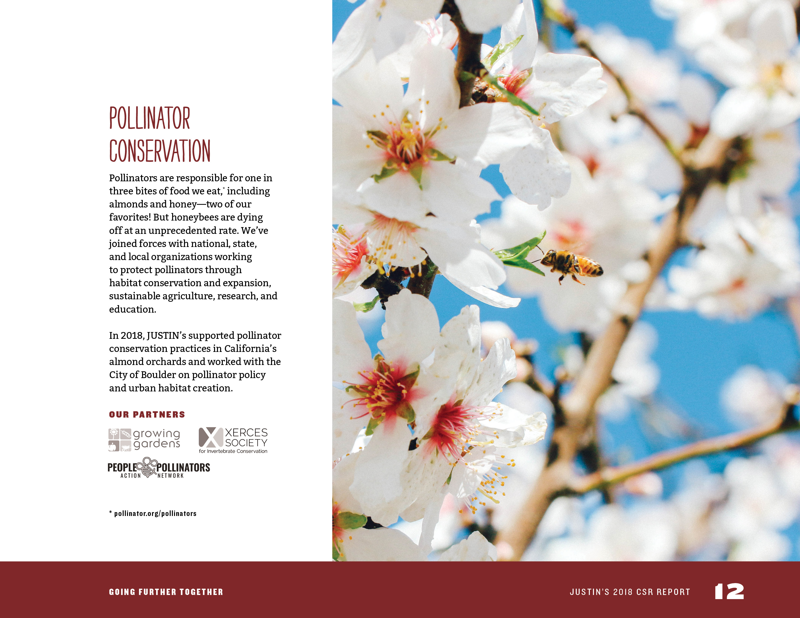 Justin's 2018 CSR Report by Megan Hillman Donovan