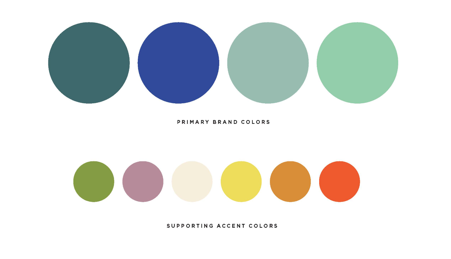 Wild Bear Brand identity by Megan Hillman Donovan