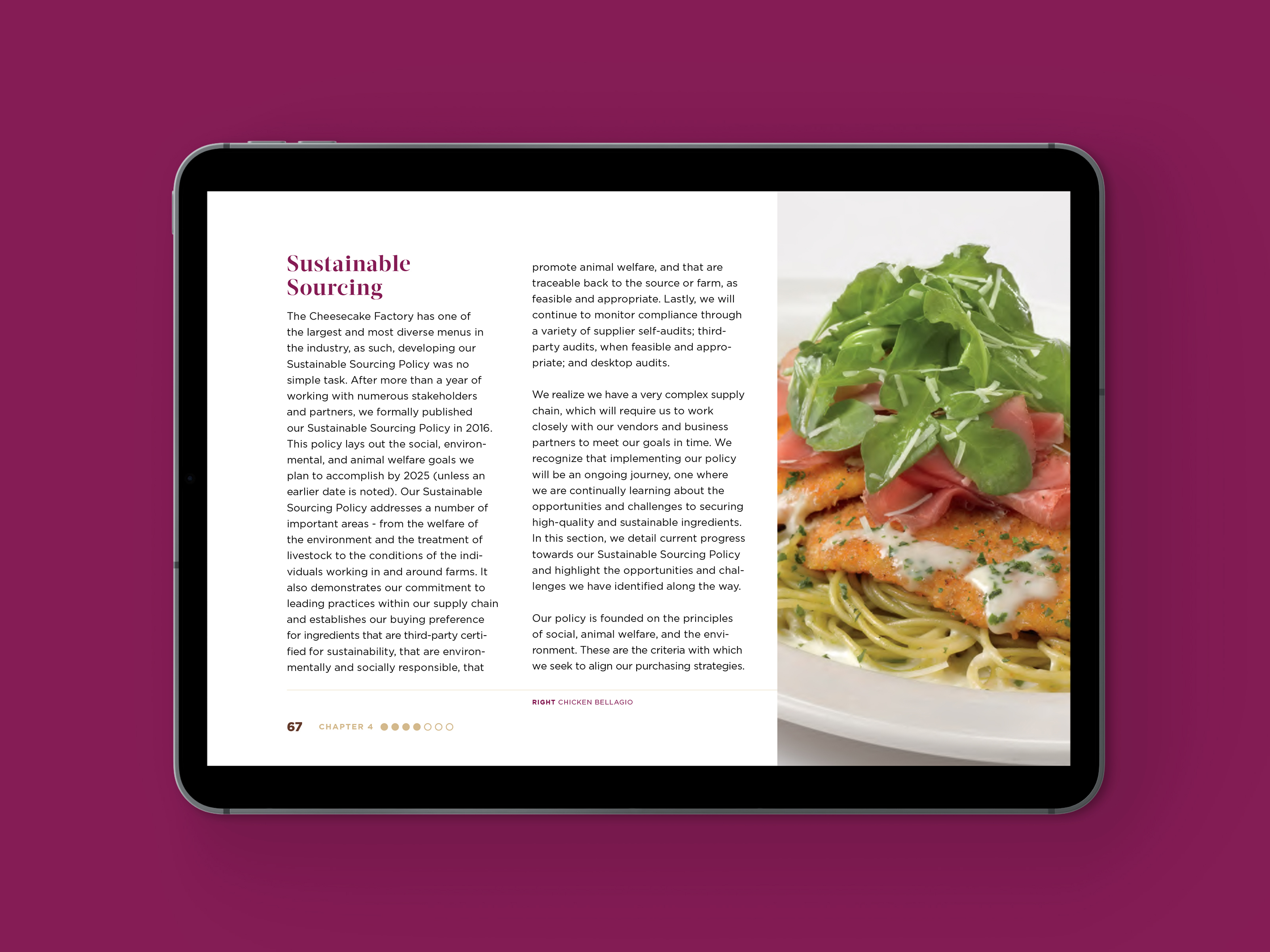CSR Template by Megan Hillman Donovan