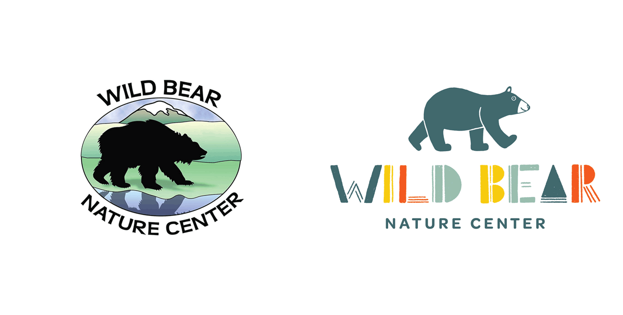 Wild Bear Brand identity by Megan Hillman Donovan