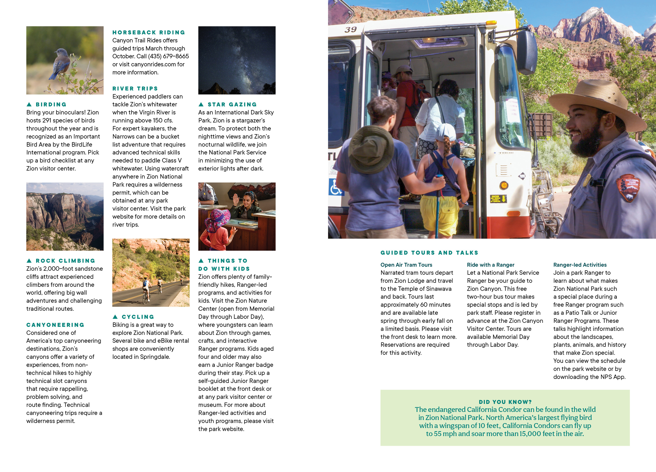 Zion National Park Lodge Room Guide by Megan Hillman Donovan