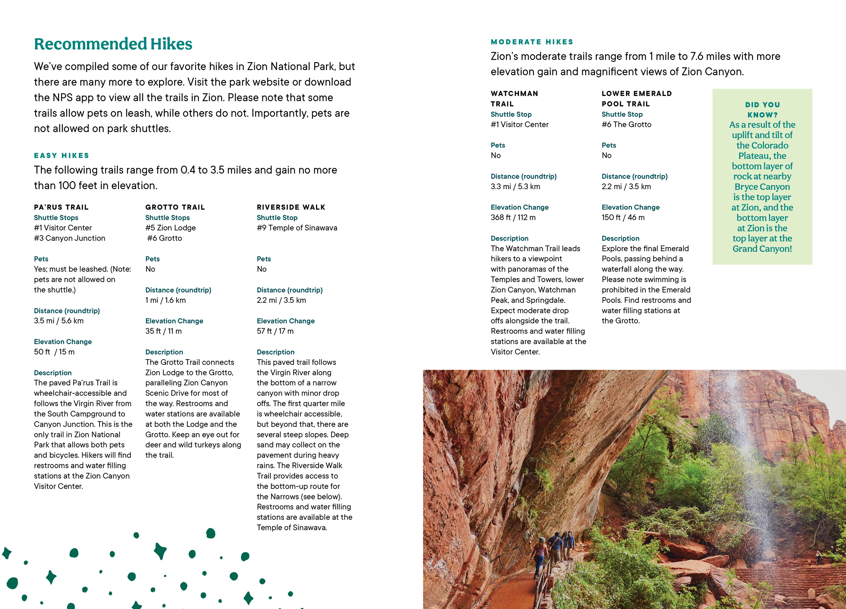 Zion National Park Lodge Room Guide by Megan Hillman Donovan