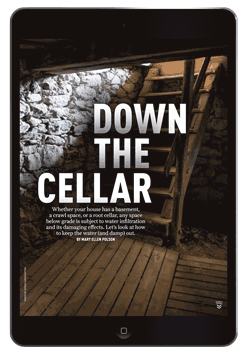 Down the Cellar by Megan Hillman