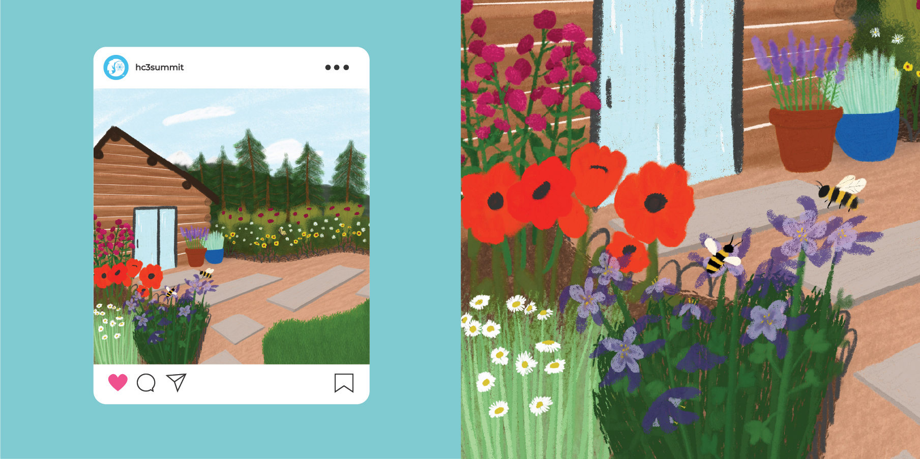 Garden Illustrations by Megan Hillman Donovan