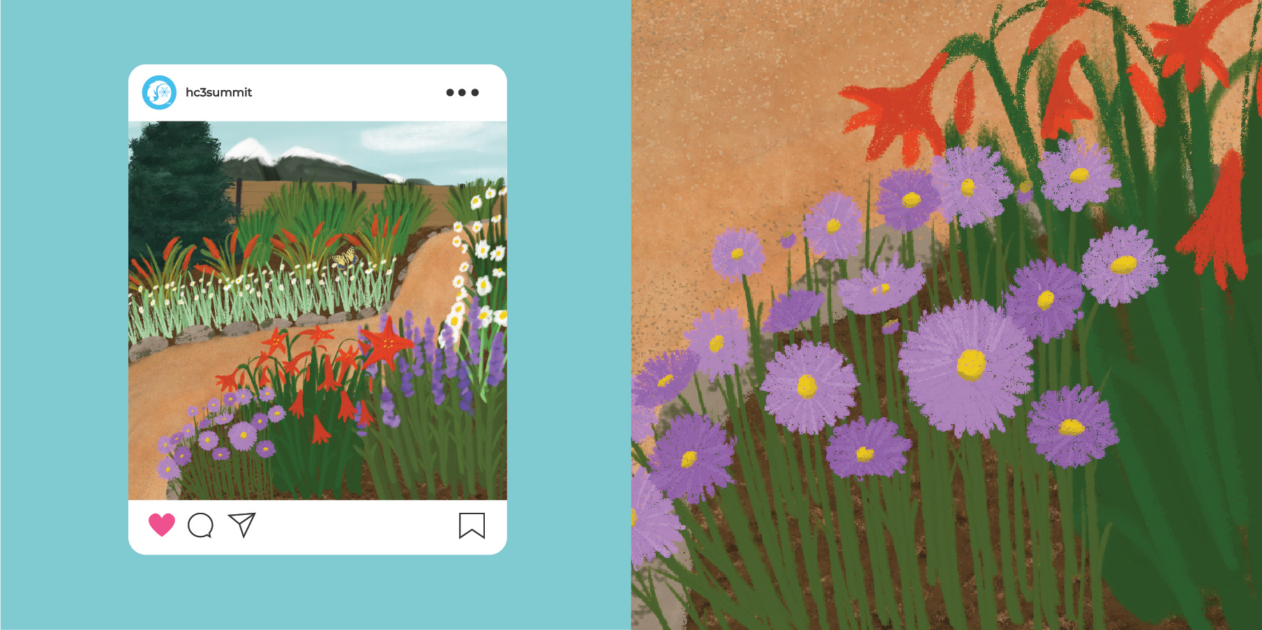 Garden Illustrations by Megan Hillman Donovan