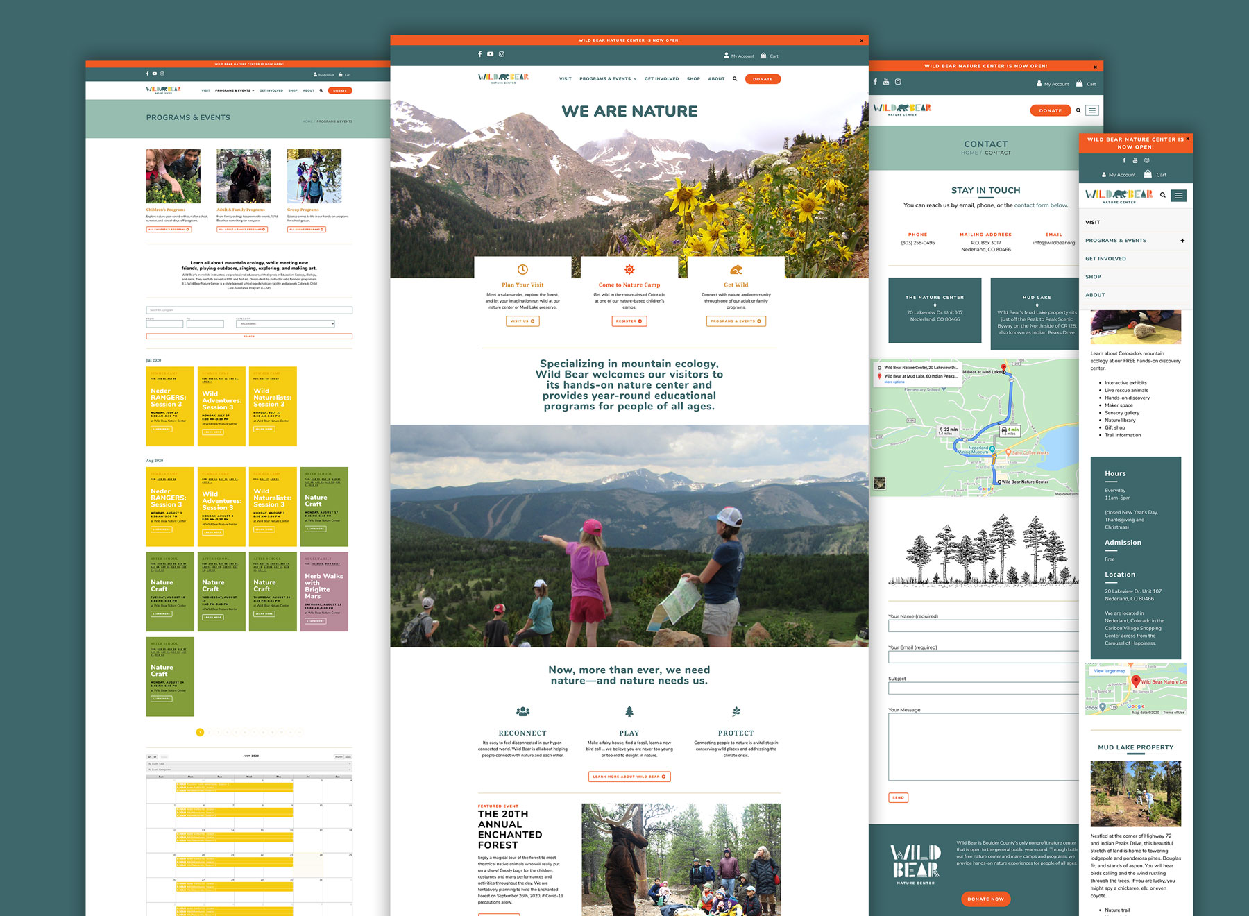Wild Bear Website  by Megan Hillman Donovan