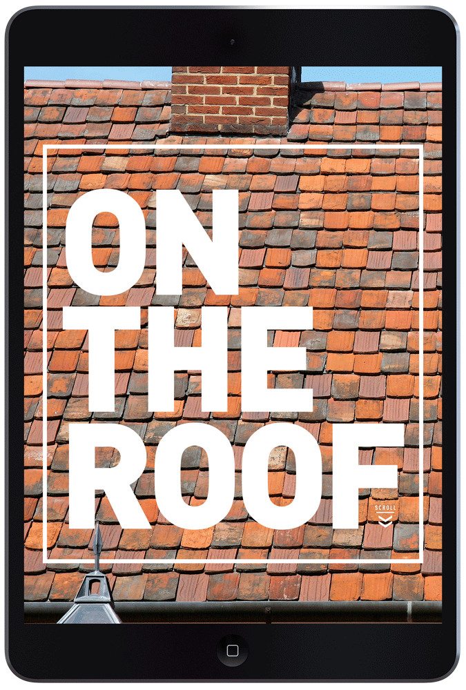 On The Roof by Megan Hillman