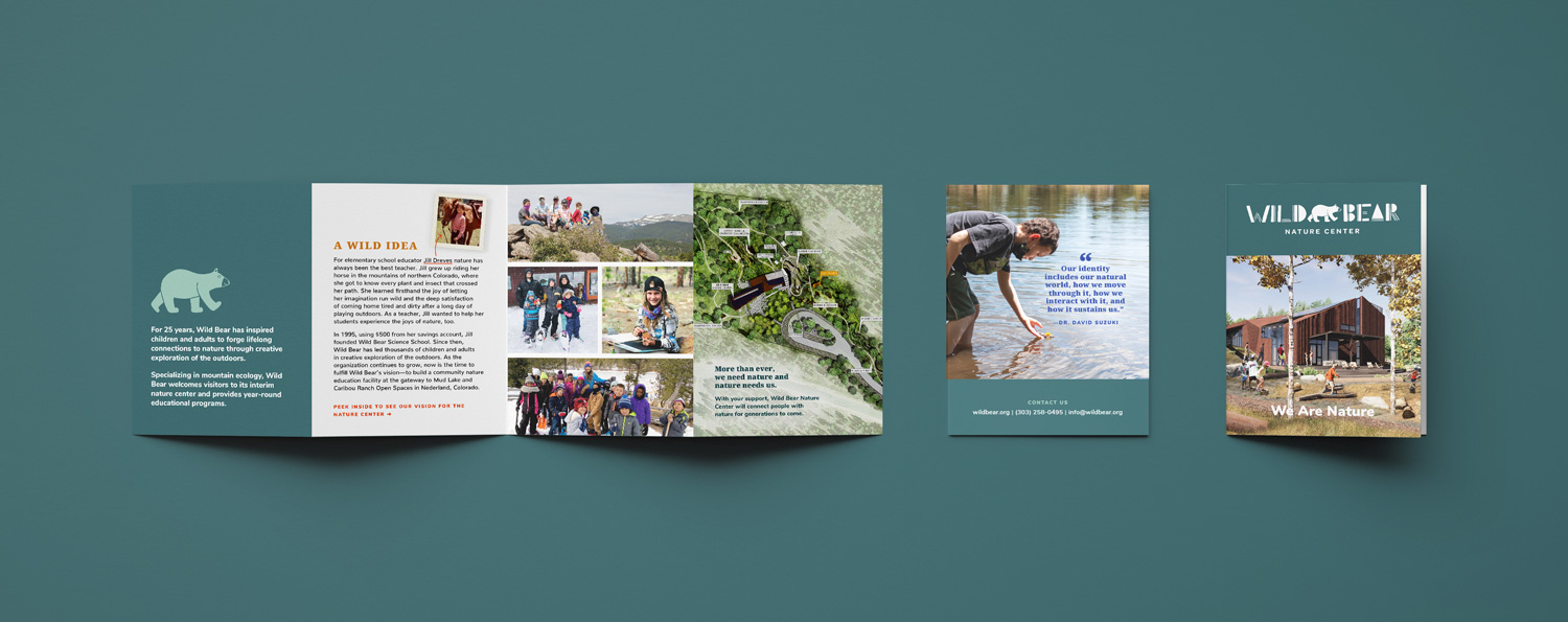 Wild Bear Brand identity by Megan Hillman Donovan