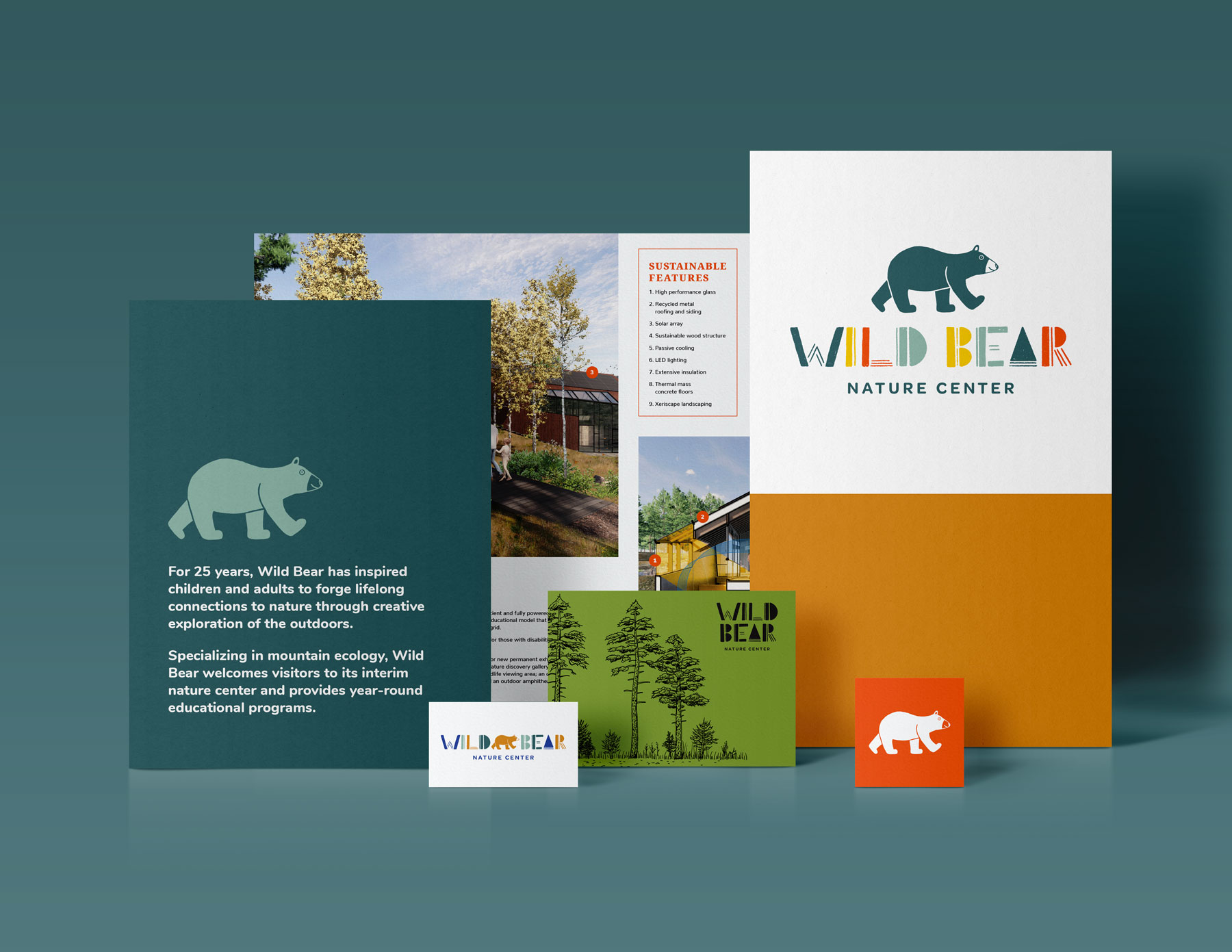 Wild Bear Brand identity by Megan Hillman Donovan